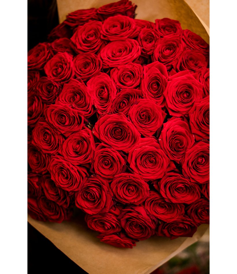 Růže Equadorské červená Velkokvěta