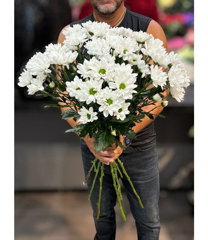 trnová chrysanthema.jpeg