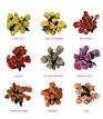 Různé variace exklusivních růží.png